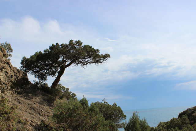 Мой любимый Крым!!!!