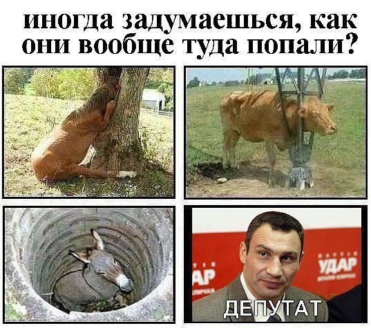 немного ЮМОРА!)