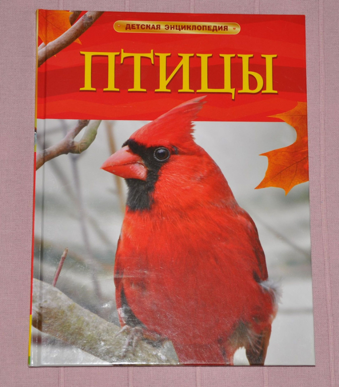 Весенние книги и произведения, 2 - 3 года