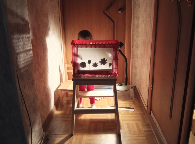 Театр теней. Спектакли про насекомых