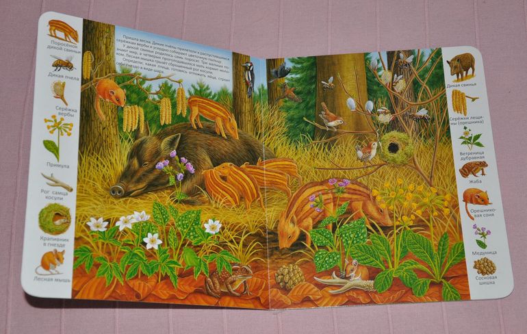 Весенние книги и произведения, 2 - 3 года