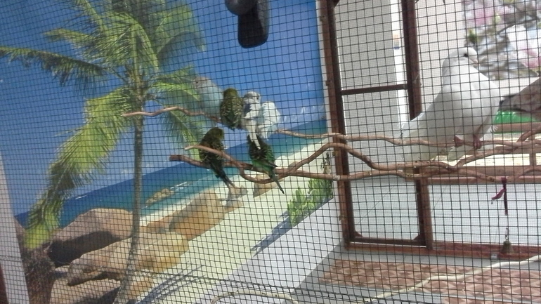 Про Любин ДР