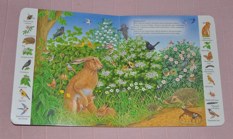 Весенние книги и произведения, 2 - 3 года