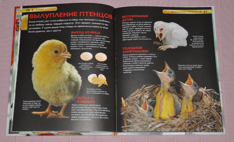 Весенние книги и произведения, 2 - 3 года