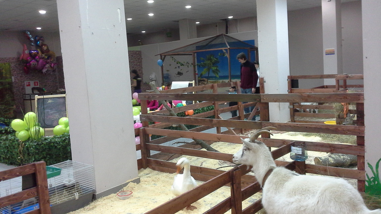 Про Любин ДР