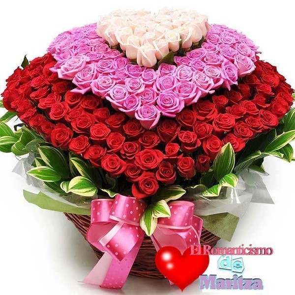 d52bf5cf3da1c7defe5053aab5fa1544.jpg