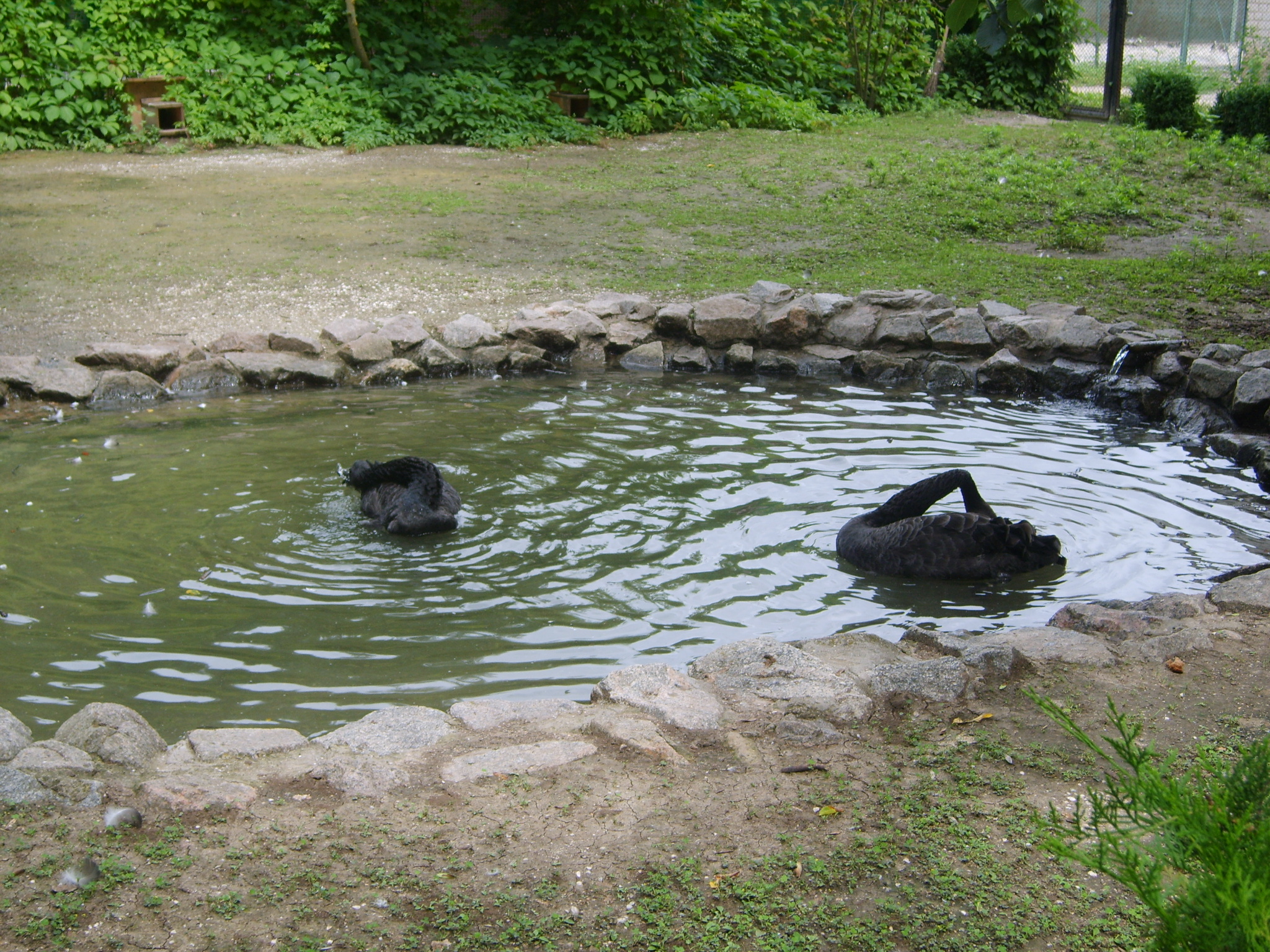 Порт Хорли (Херсонська обл) та Асканія-Нова