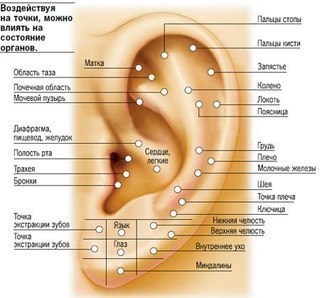 Массаж ушек у малышей