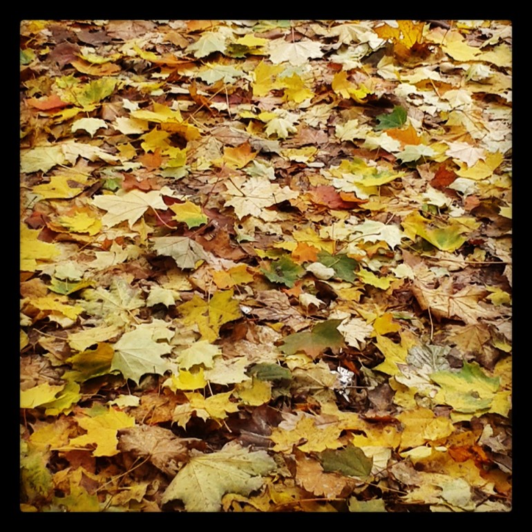 Уже не намек, а целый зуб прорезался