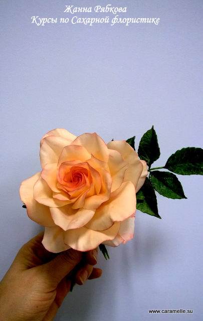 Кондитерские курсы. Расписание занятий на май.