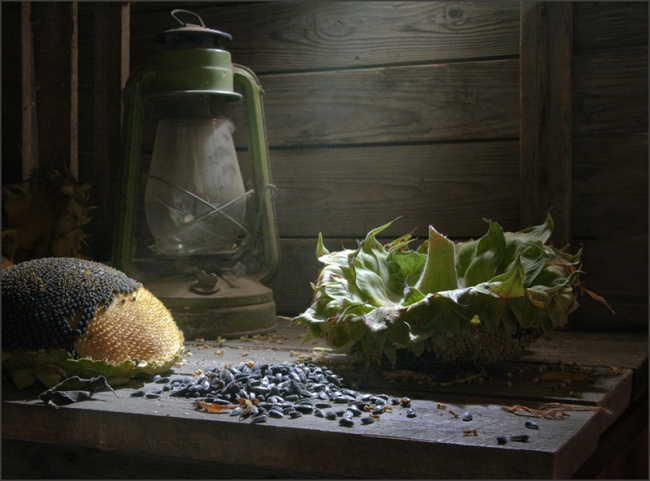 СССР в натюрмортах .