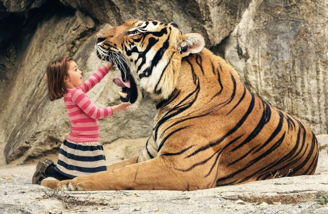 Хроника нашей удивительной повседневной жизни.
