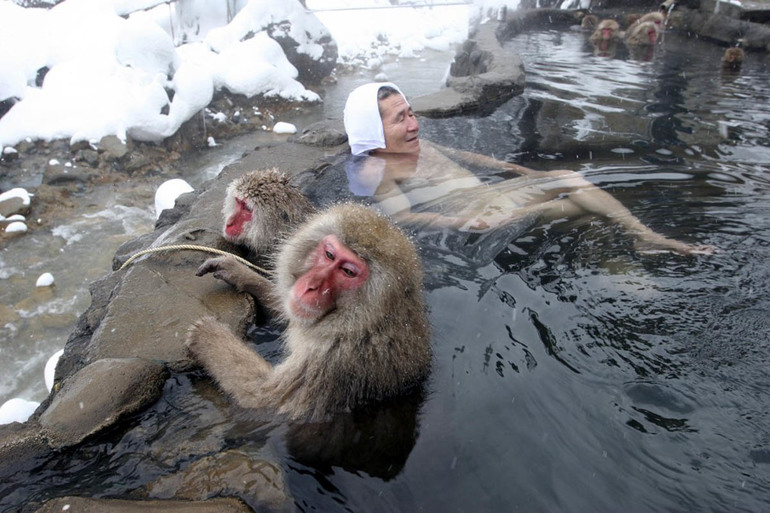 Обезьяний SPA