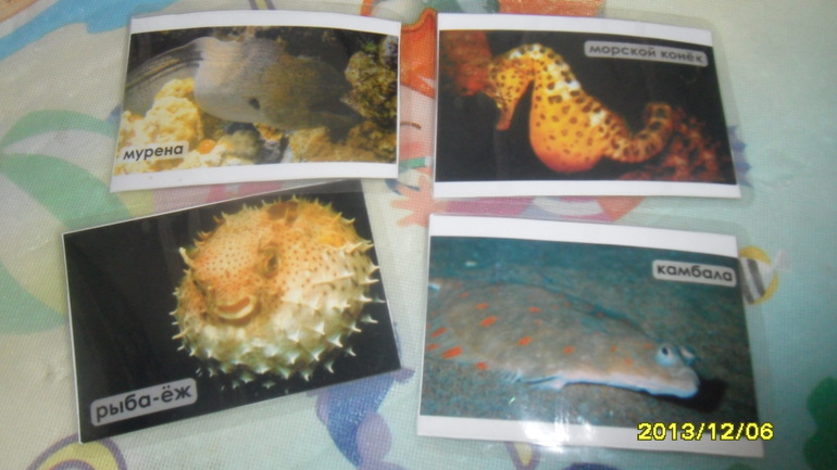 ТН МОРЕ ДЕНЬ 2