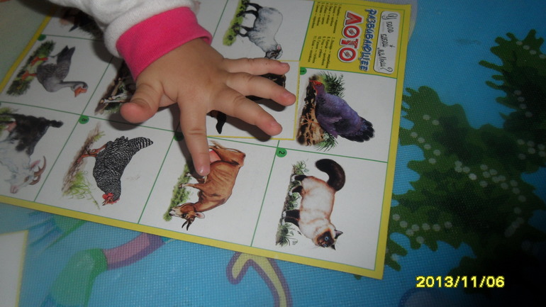 Моя семья. Заключительный день