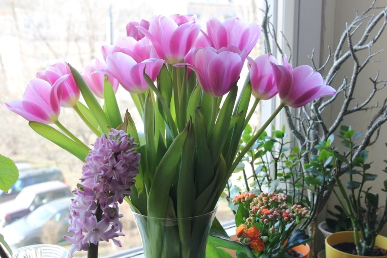 Вот и прошла весна... Наша ВЕСНА 2014