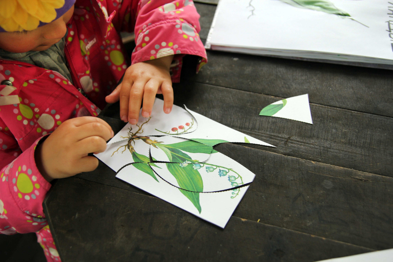 Тематические занятия ЦЫЕТЫ, часть 5, ЛАНДЫШ и ЖАСМИН