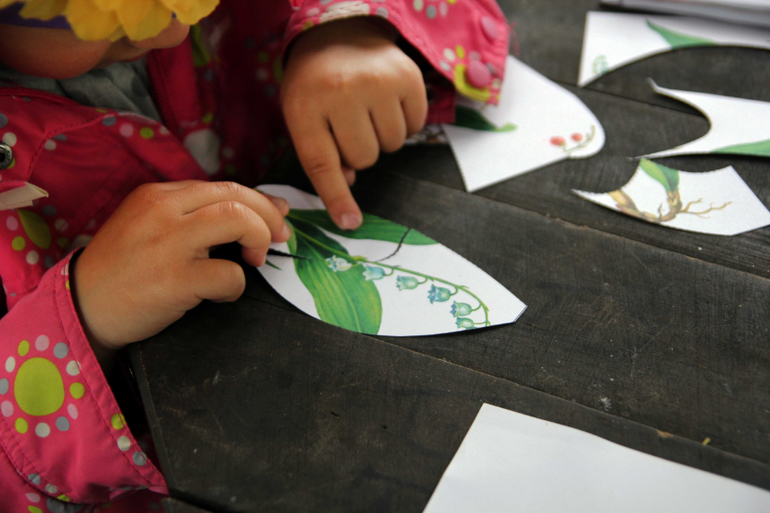 Тематические занятия ЦЫЕТЫ, часть 5, ЛАНДЫШ и ЖАСМИН