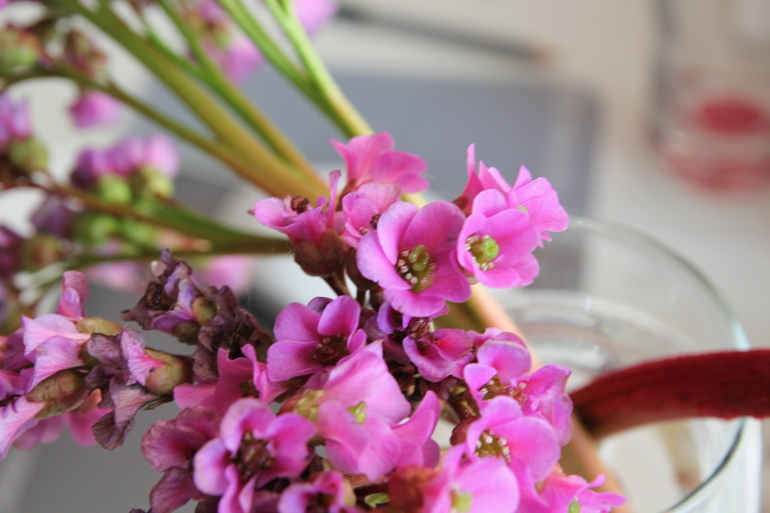 Тематические занятия ЦВЕТЫ, часть 1, вводная)))