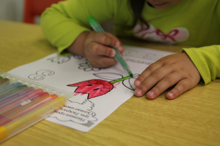 Тематические занятия ЦВЕТЫ, часть 1, вводная)))