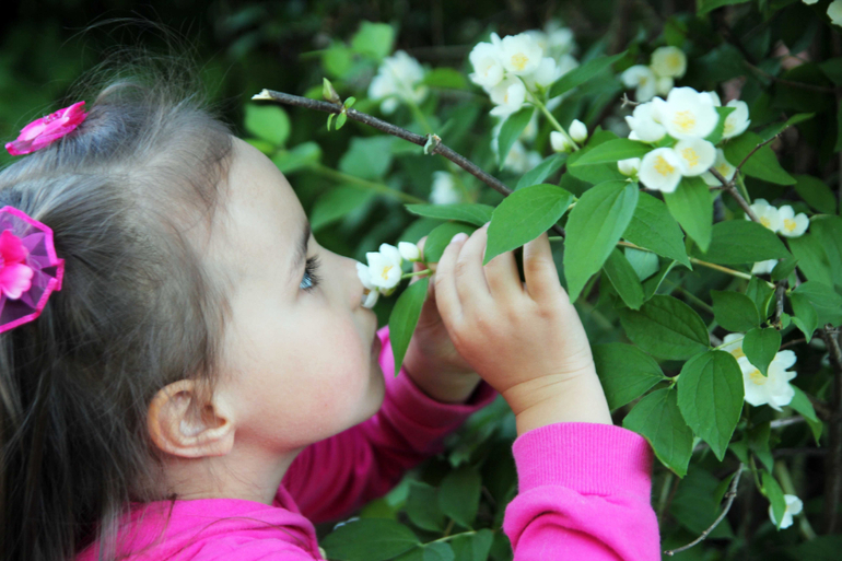 Тематические занятия ЦЫЕТЫ, часть 5, ЛАНДЫШ и ЖАСМИН