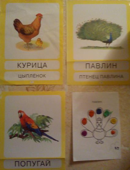 ТН