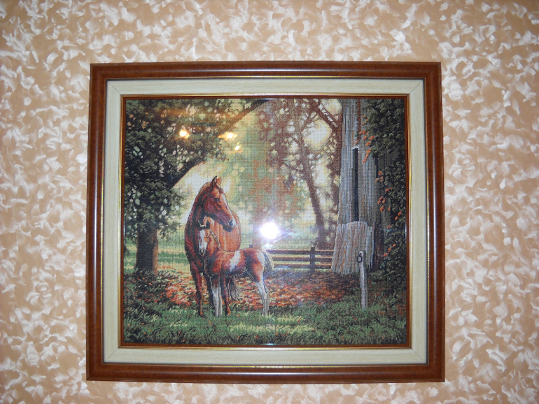 Туманное утро ЗР , Слоны от ДИМ и другие