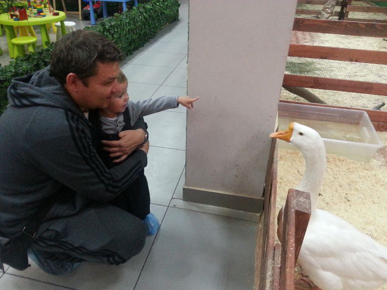 контактный зоопарк