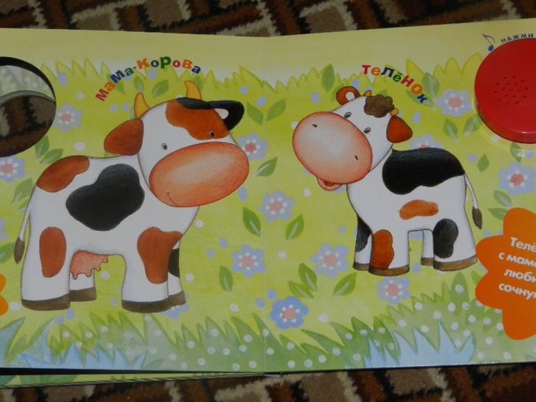 Книги Вареника часть 2 ХВАСТАЮСЬ