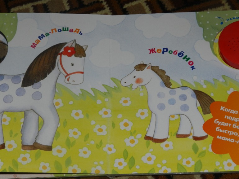 Книги Вареника часть 2 ХВАСТАЮСЬ