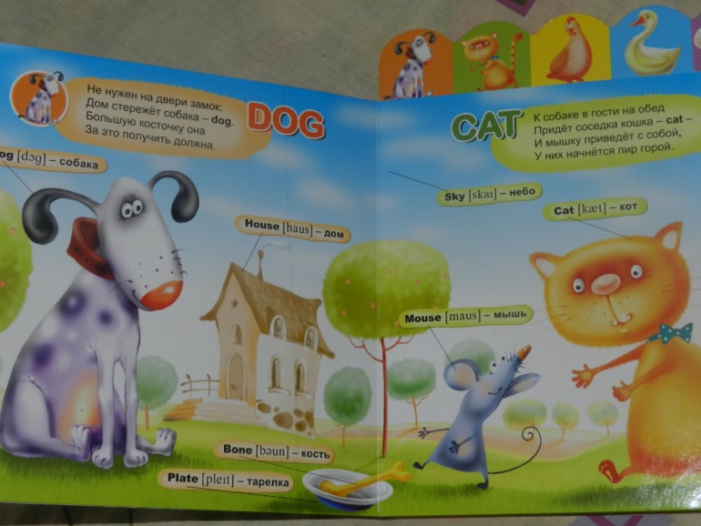 обнавленный большущий хваст)))))))))))))))))))))