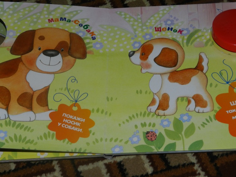 Книги Вареника часть 2 ХВАСТАЮСЬ