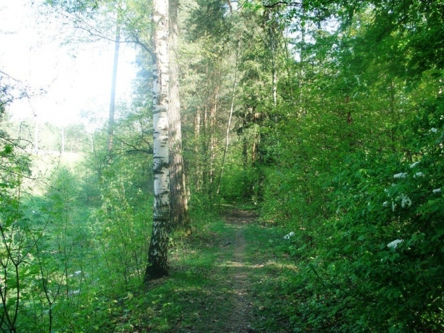 Продажа элитных участков в Репино В поселке Репино на продажу выставлено более 10 земельных объектов.