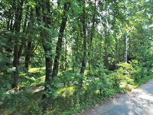 Продажа элитных участков в Репино В поселке Репино на продажу выставлено более 10 земельных объектов.