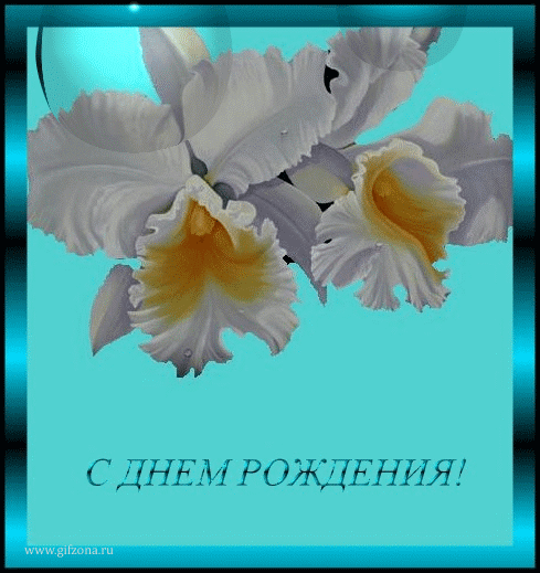 0589a23c0214f6d1828e627d514fbf82.gif