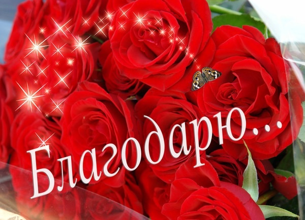 476f4abc66fcd46b42e1f5176129b754.jpg
