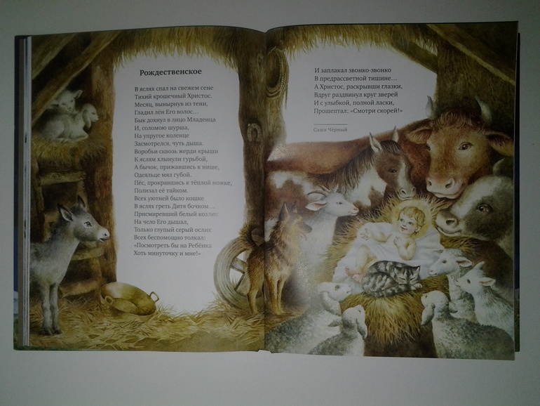 Не могу не поделиться такой радостью....Золотая ночь!