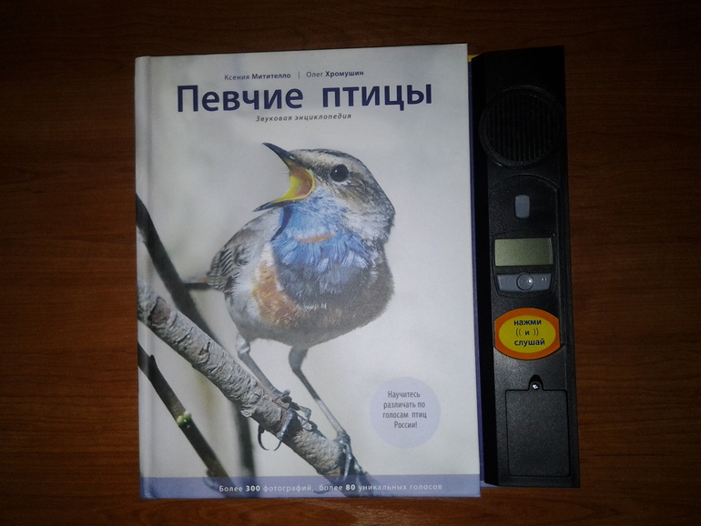 Наше пополнение. Январь 2014