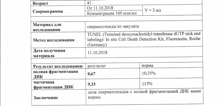 Фрагментация ДНК сперматозоидов (повреждение цепочек ДНК сперматозоидов)