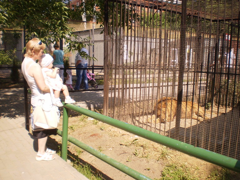 Зоопарк