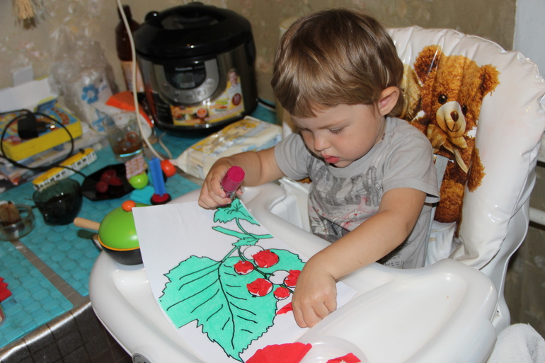 ТЗ Красный цвет. Ягоды.