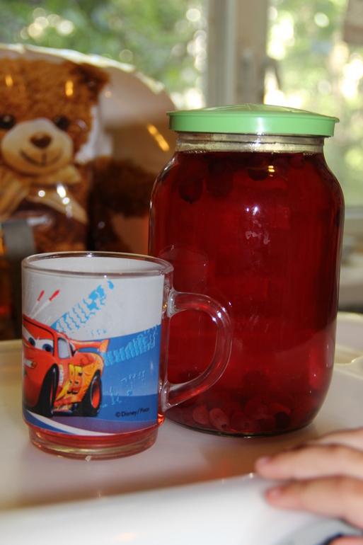 ТЗ Красный цвет. Ягоды.