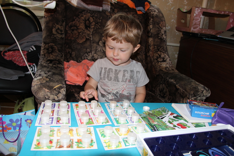 ТЗ Красный цвет. Ягоды.