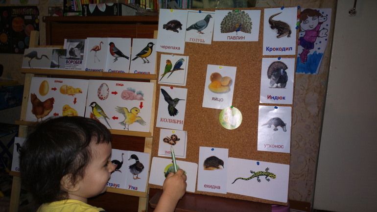 Наш Шичида )