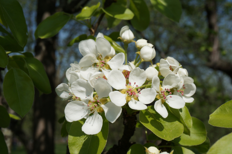 Отчет о Коломенском на 1 мая!