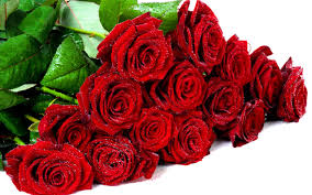 595e33066ae3025847de71ecd24a87db.jpg