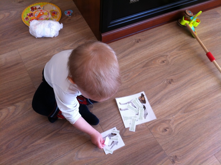 Изучаем животных, мини ТН, 1,4 года