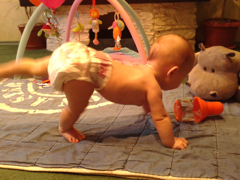 Полугодовасие (пост для своего склероза)