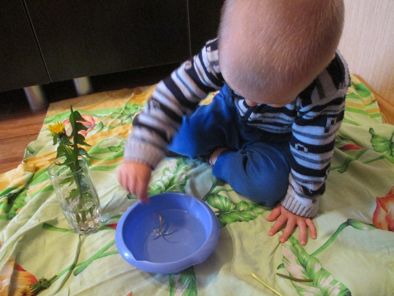 ТЗ Солнышко на ножке.