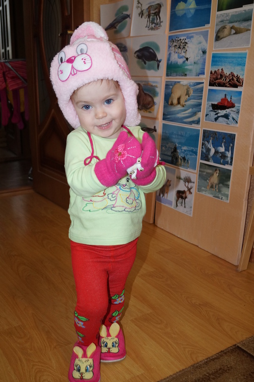 ТН Арктика и Антарктида. ФМ. День 4. Птицы.